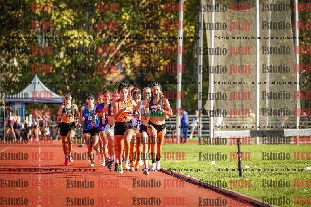 Fotos de los 1500 m de mujeres