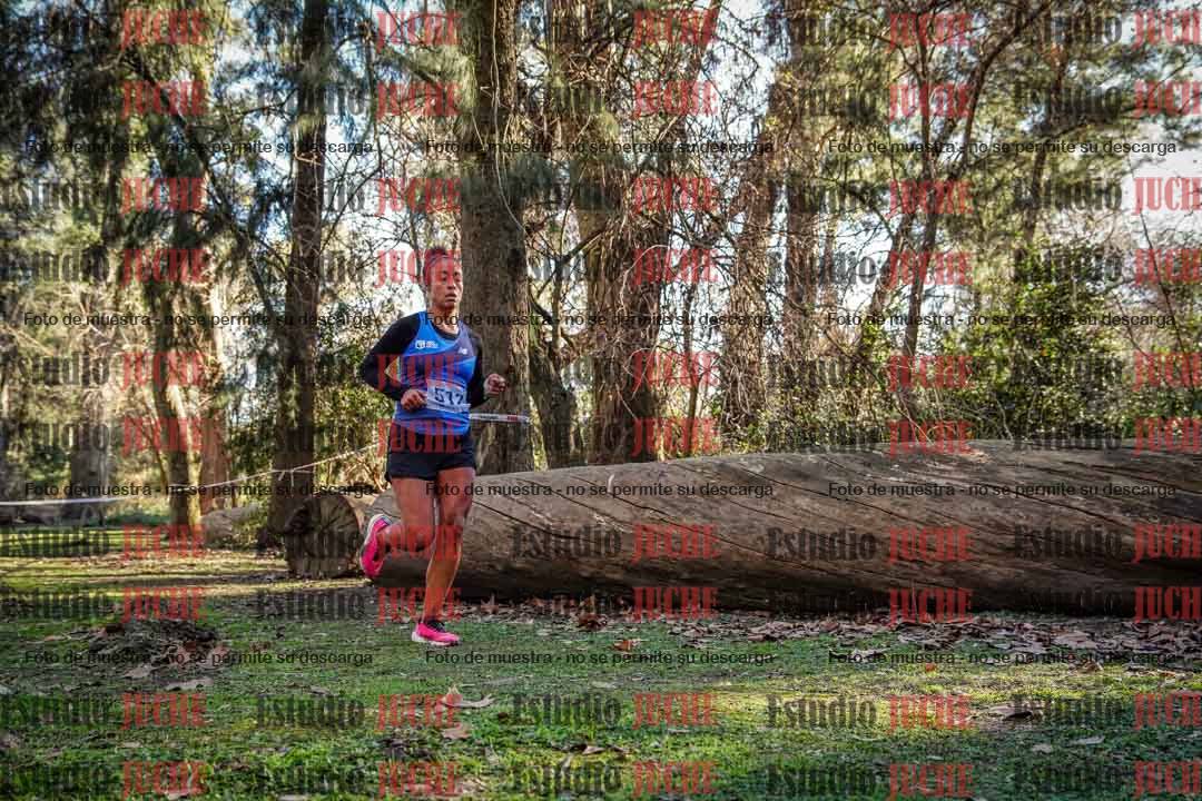 Fotos en el quinto punto del circuito