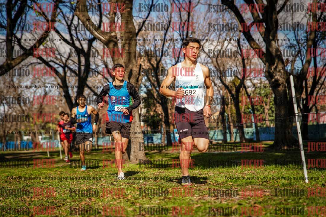 Fotos en el circuito