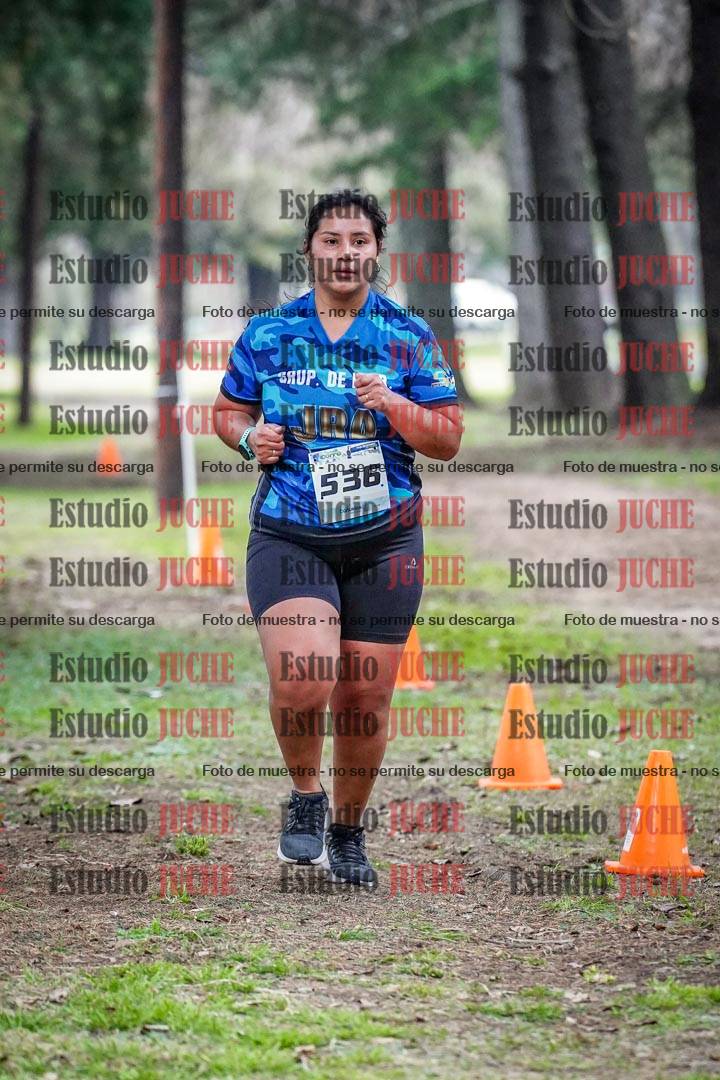 Fotos en el circuito