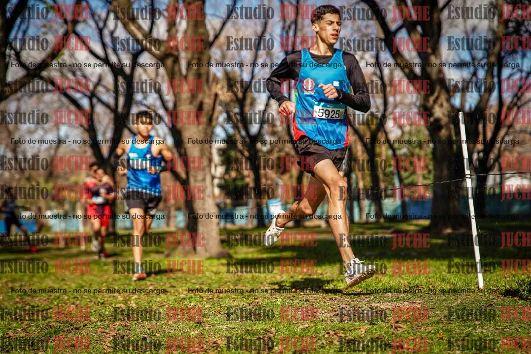 Fotos en el circuito