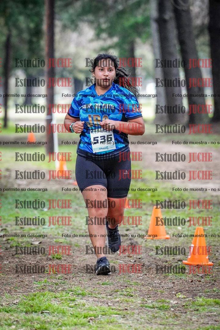 Fotos en el circuito