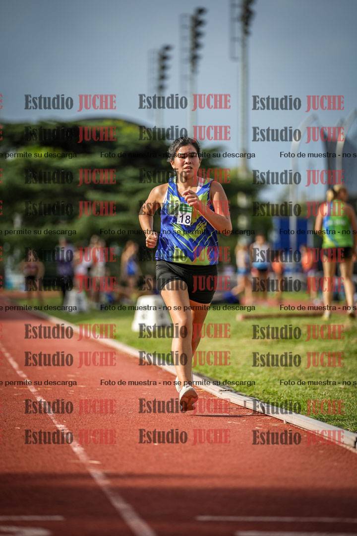 Fotos de los 3000 m llanos de mujeres