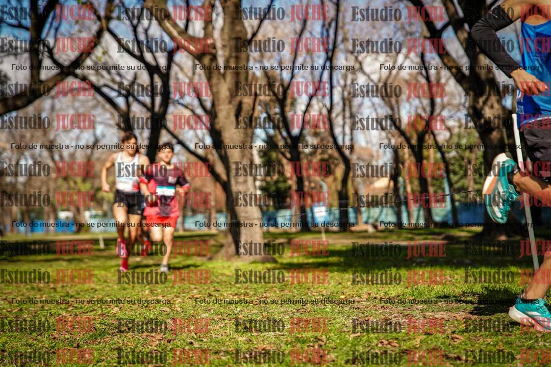 Fotos en el circuito