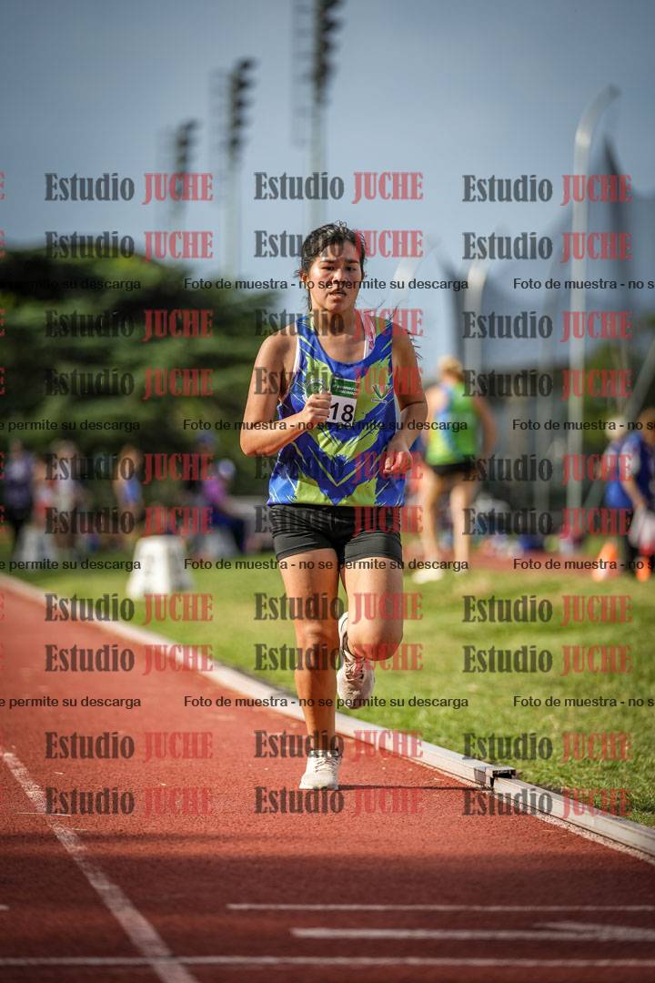 Fotos de los 3000 m llanos de mujeres