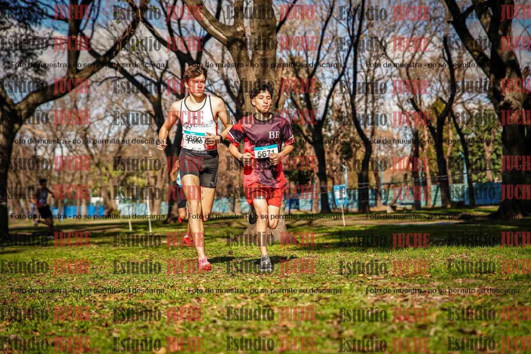 Fotos en el circuito