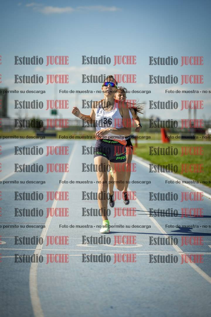 Fotos de los 1500 m llanos de mujeres