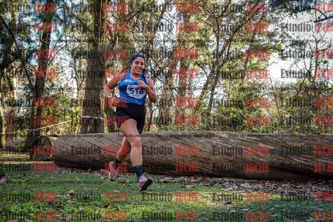 Fotos en el quinto punto del circuito