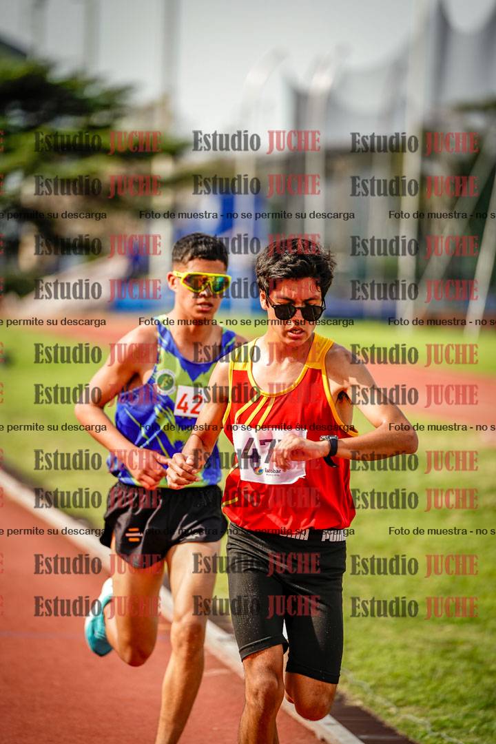 Fotos de los 3000 m llanos de varones