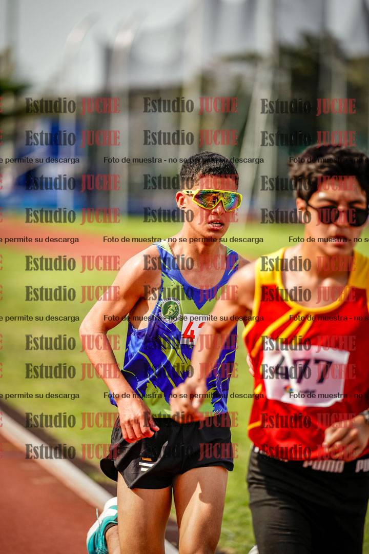 Fotos de los 3000 m llanos de varones
