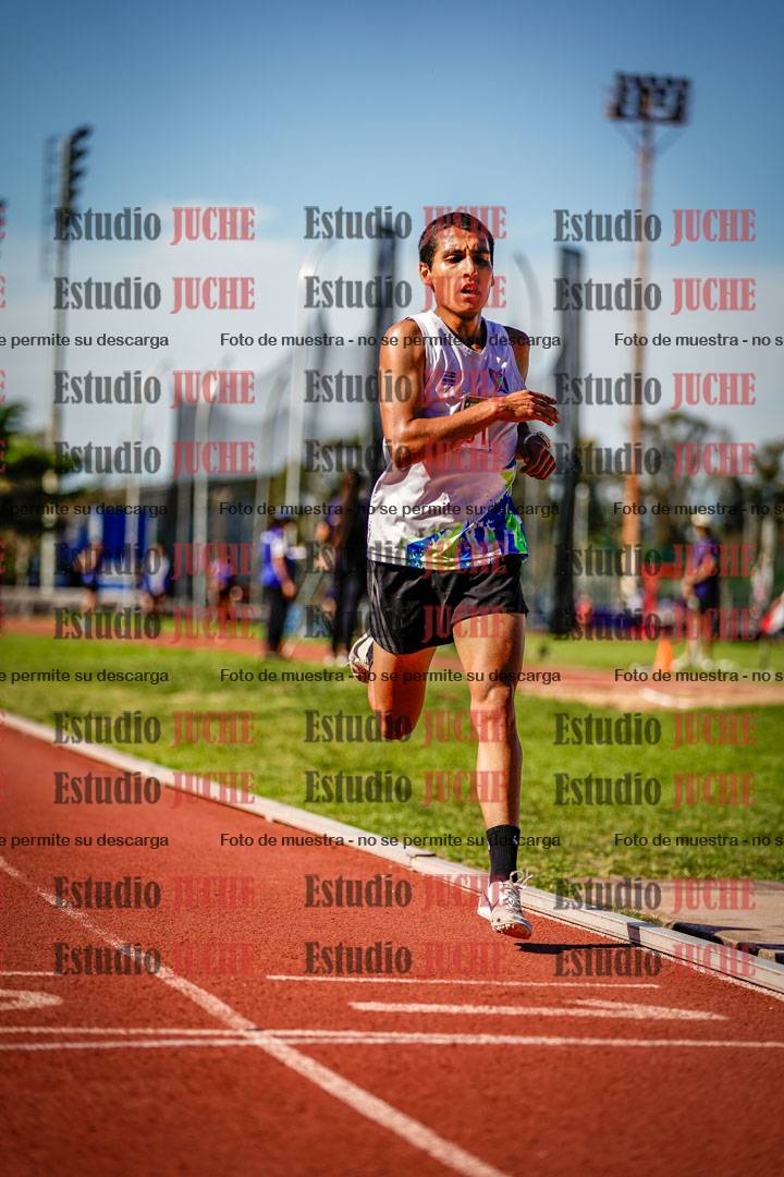 Fotos de los 5000 m llanos de mujeres y varones