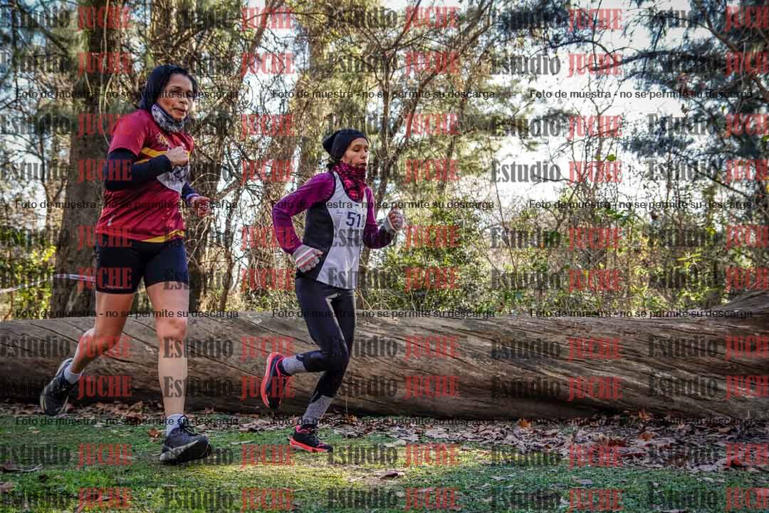 Fotos en el quinto punto del circuito