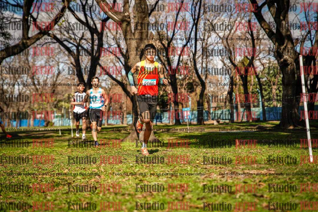 Fotos en el circuito