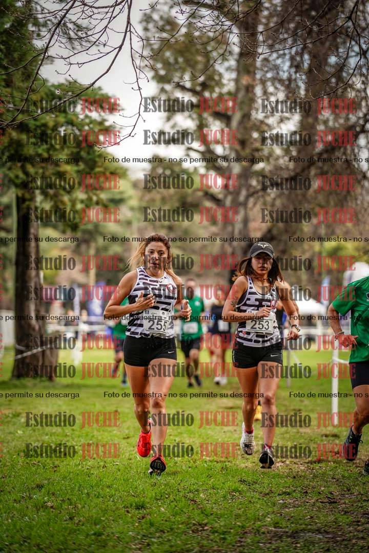 Fotos en el circuito