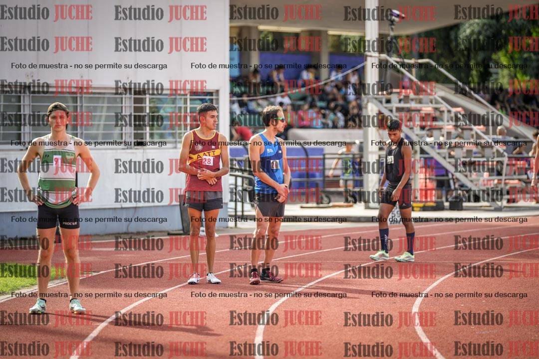 Fotos de los 800 m llanos de varones