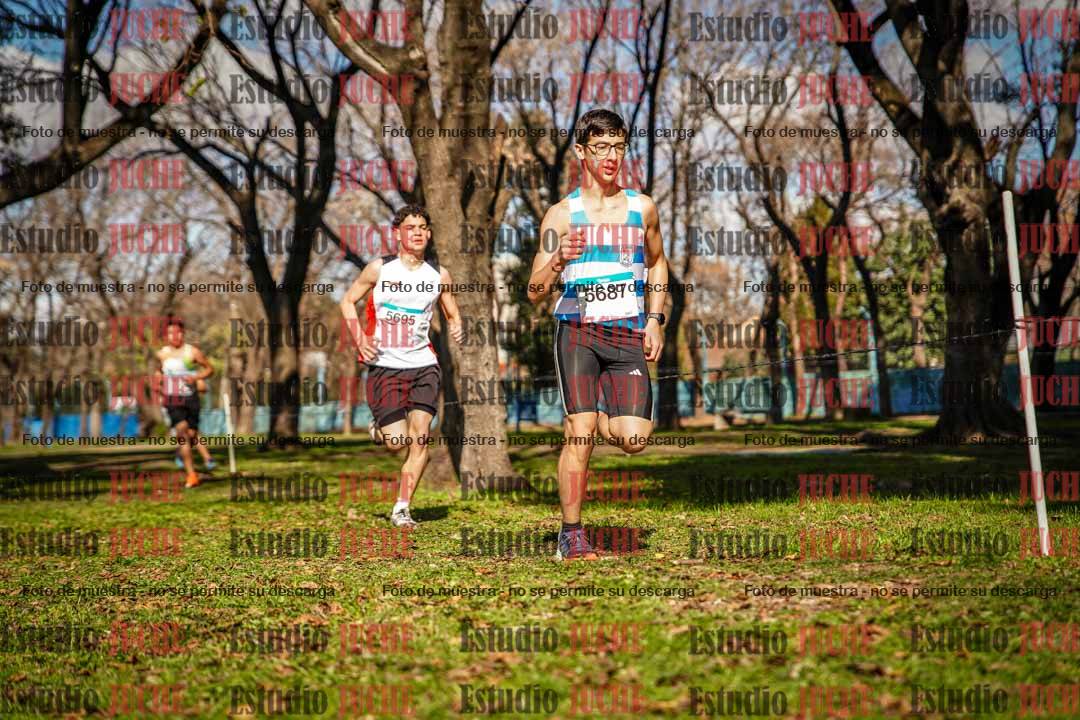 Fotos en el circuito