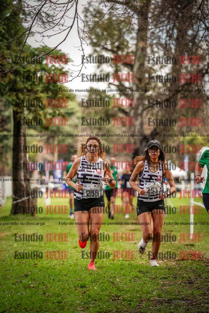 Fotos en el circuito