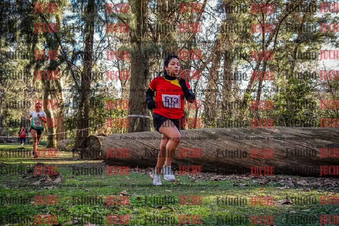 Fotos en el quinto punto del circuito
