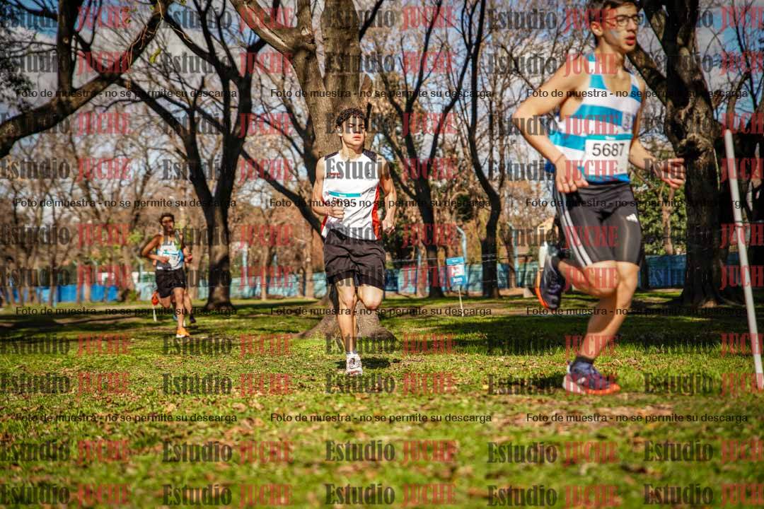 Fotos en el circuito
