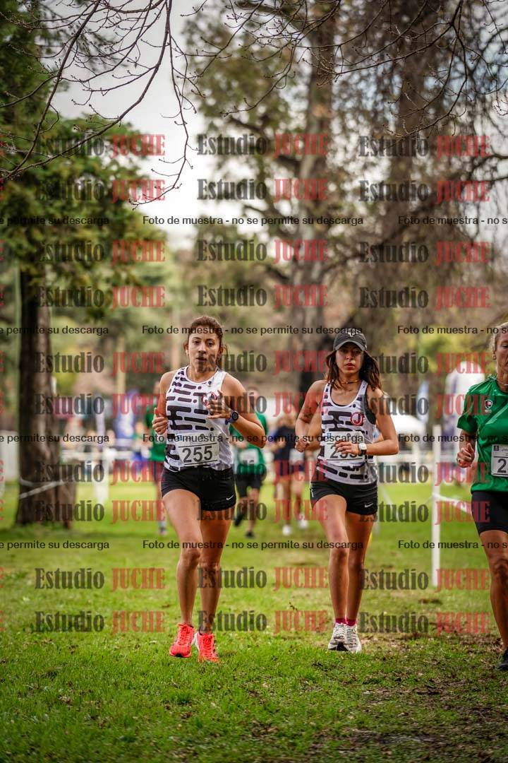 Fotos en el circuito