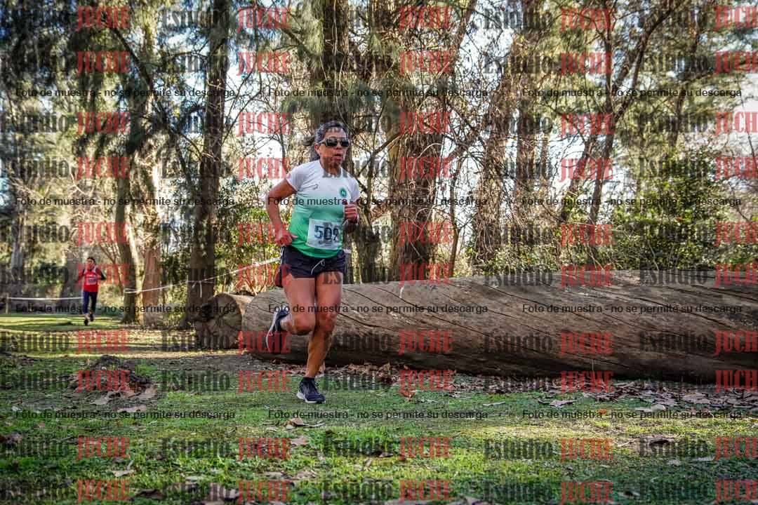 Fotos en el quinto punto del circuito