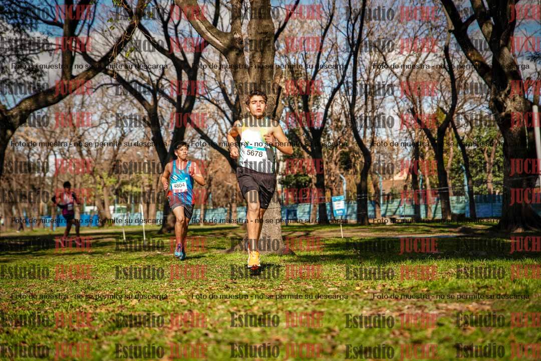 Fotos en el circuito