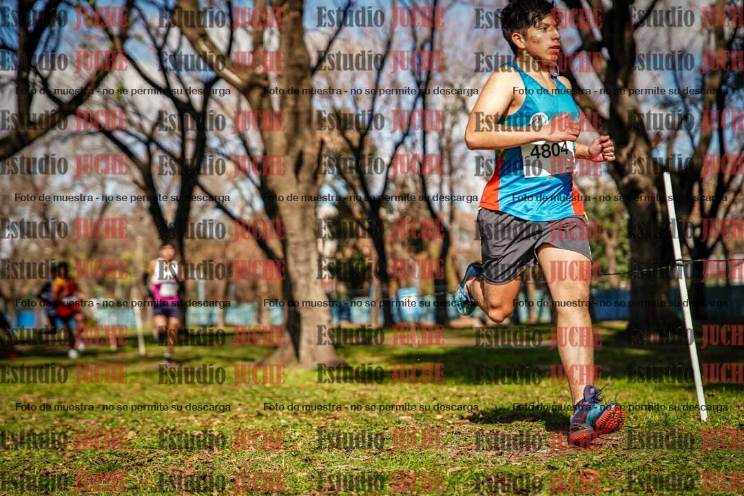 Fotos en el circuito