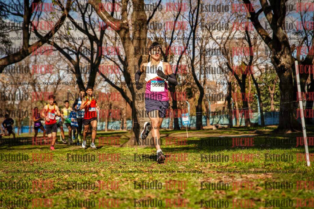 Fotos en el circuito