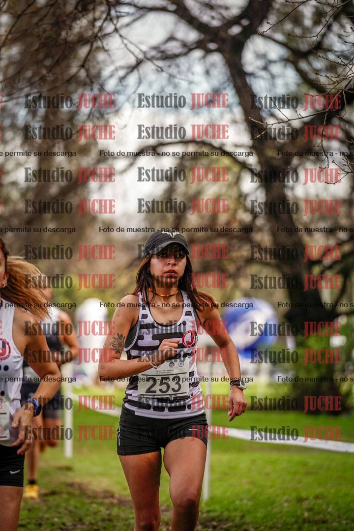 Fotos en el circuito