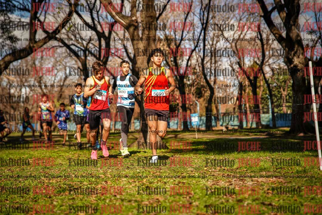 Fotos en el circuito