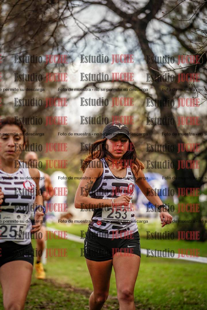Fotos en el circuito