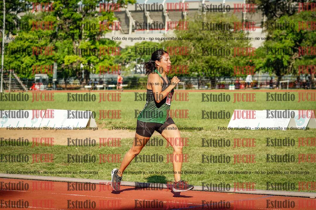 Fotos de los 1500 m llanos de mujeres