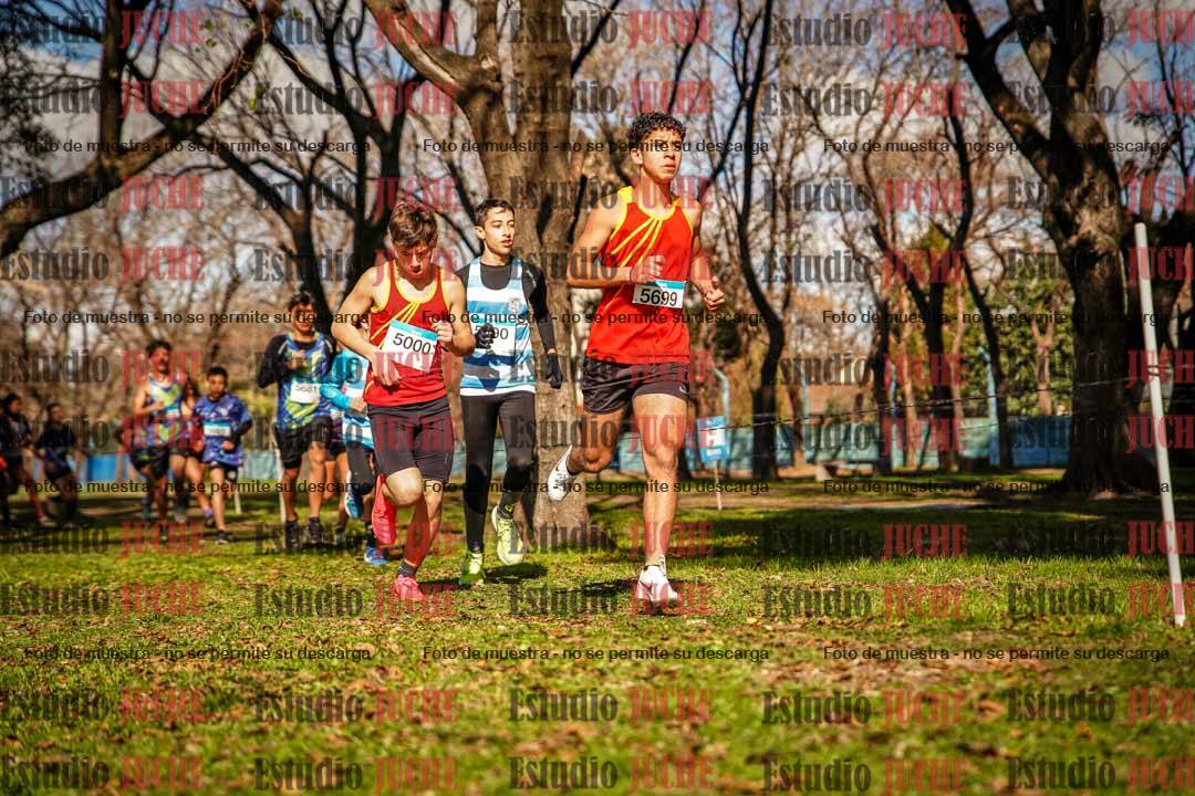 Fotos en el circuito