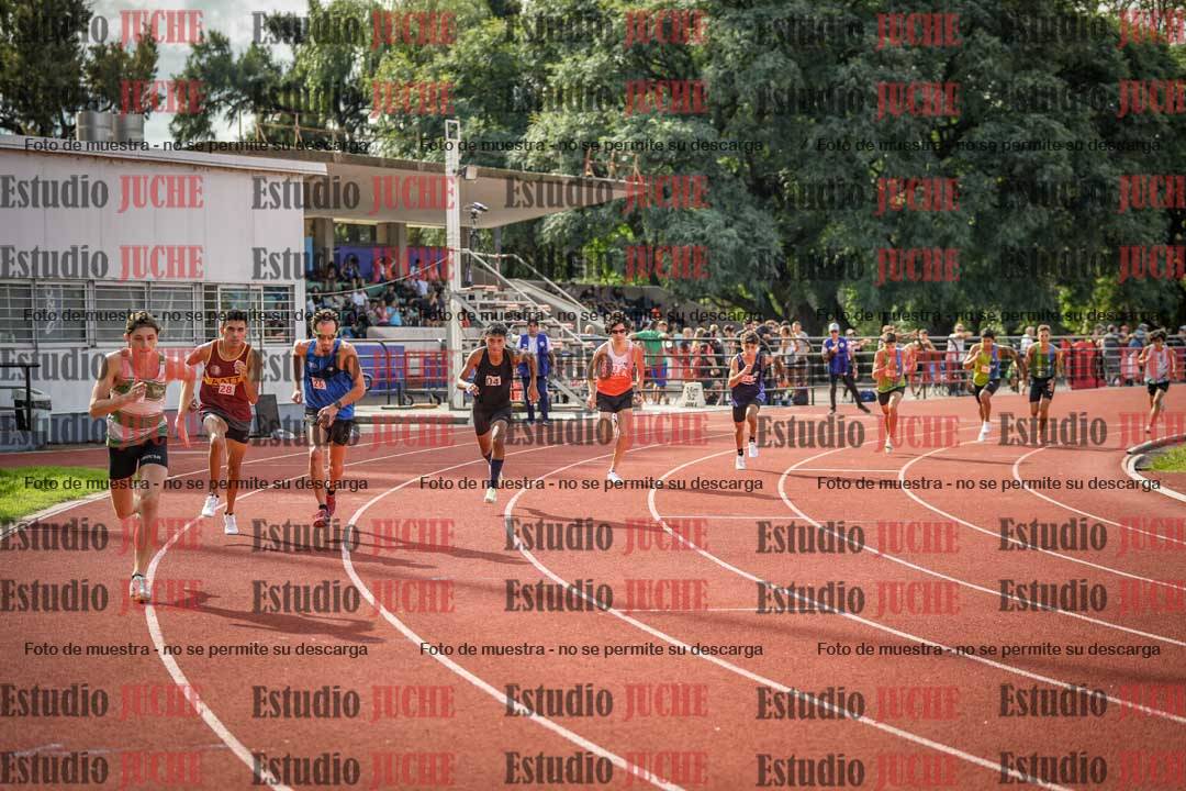 Fotos de los 800 m llanos de varones