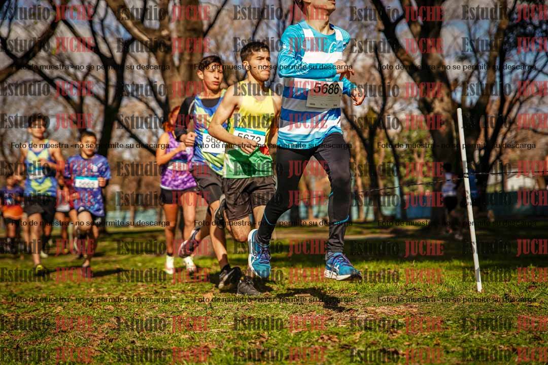 Fotos en el circuito