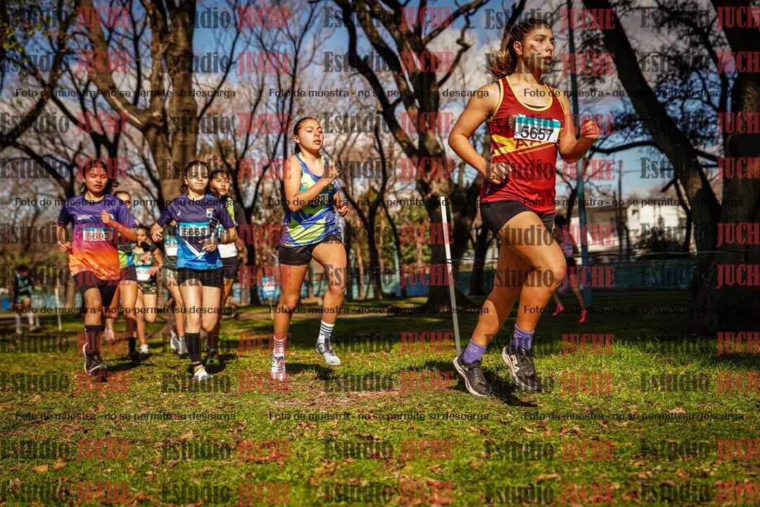 Fotos en el circuito
