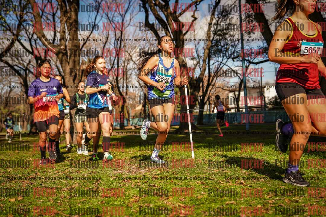 Fotos en el circuito