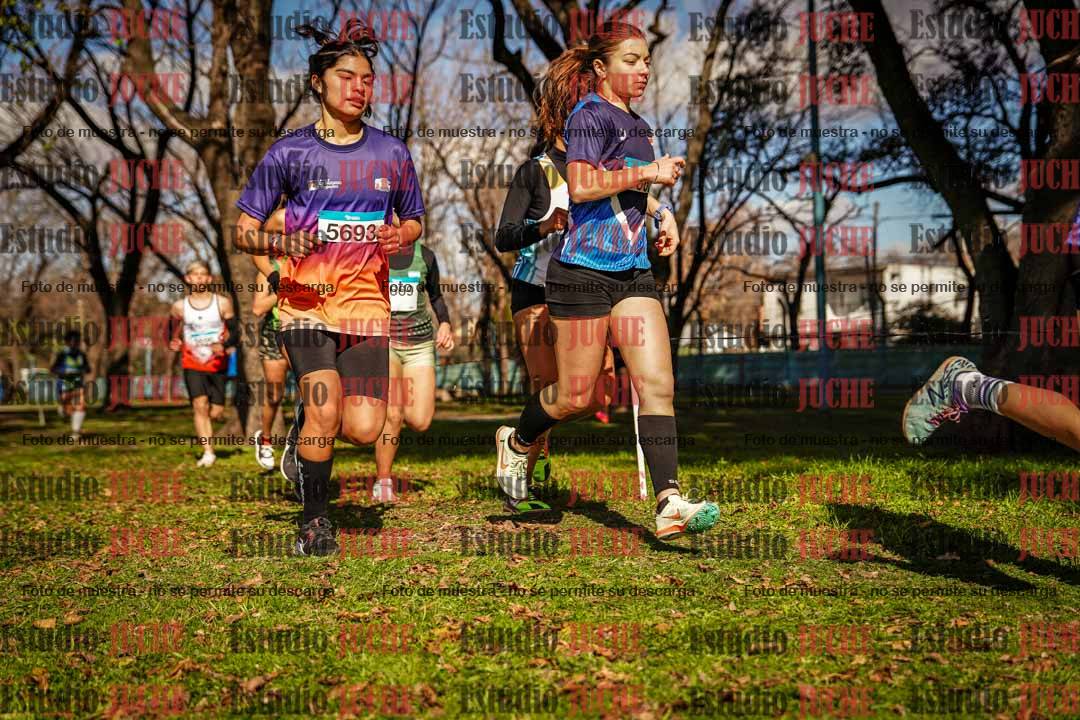Fotos en el circuito