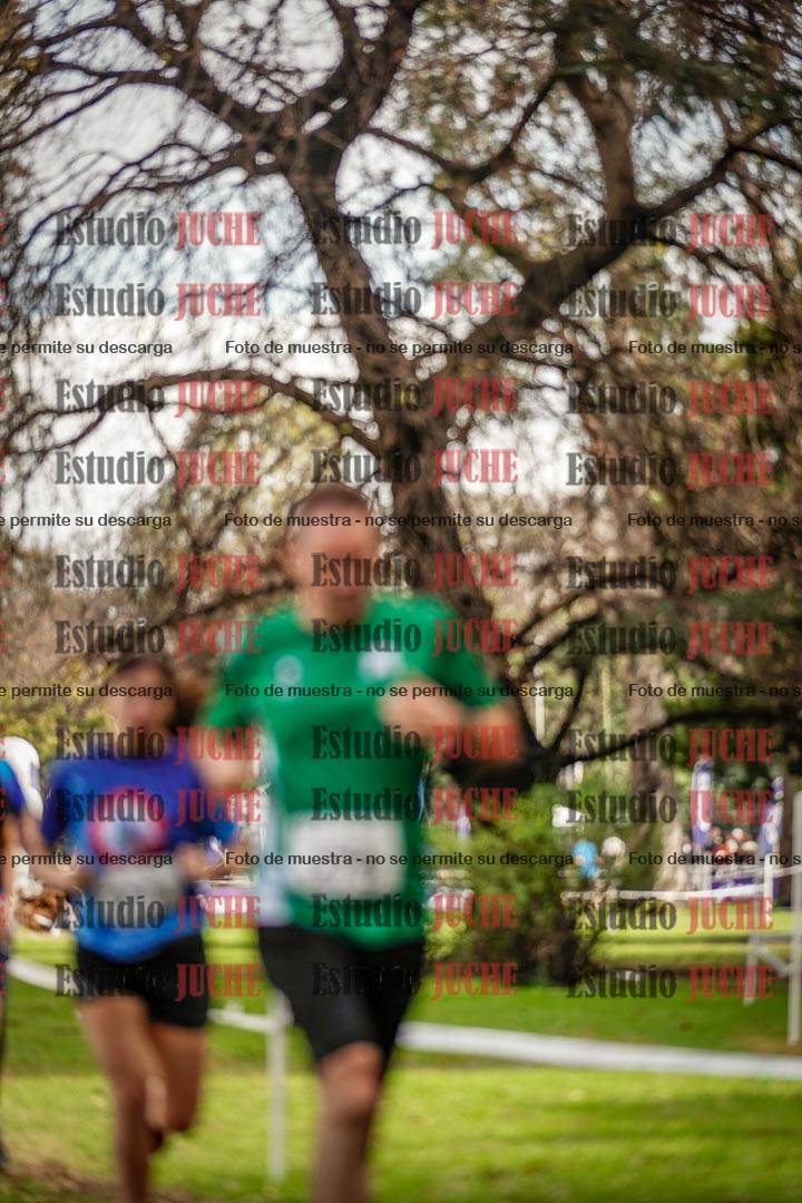 Fotos en el circuito