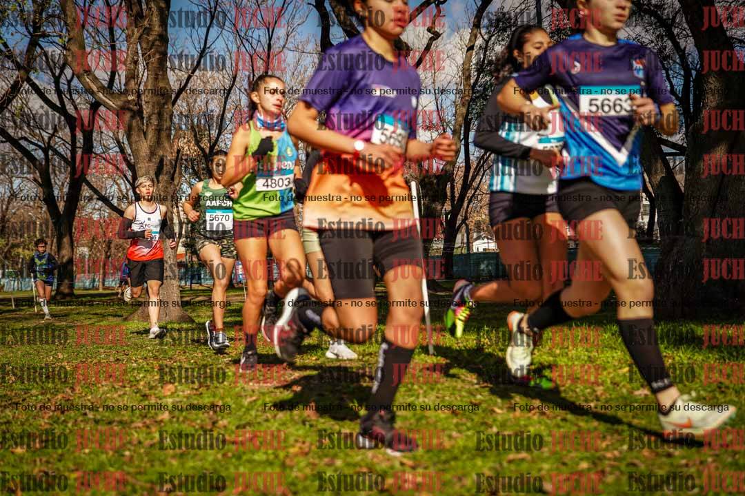 Fotos en el circuito