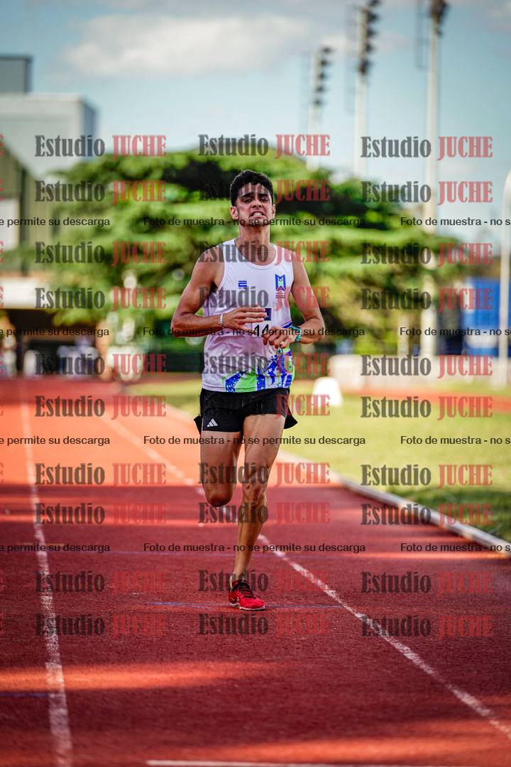 Fotos de los 3000 m llanos de varones