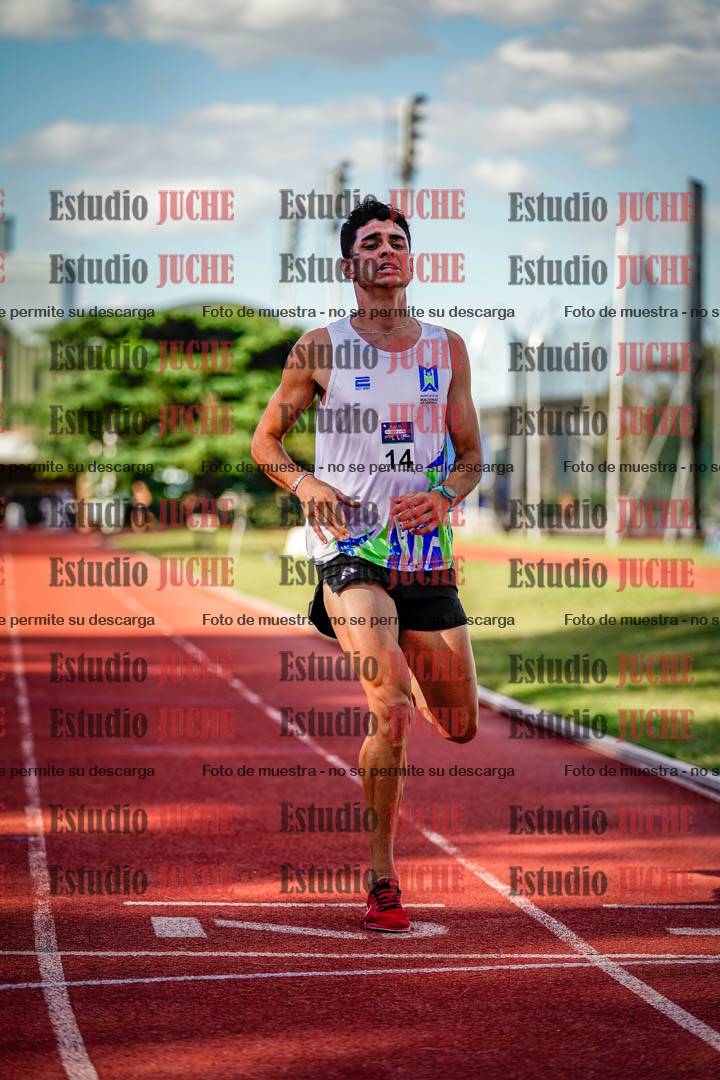 Fotos de los 3000 m llanos de varones