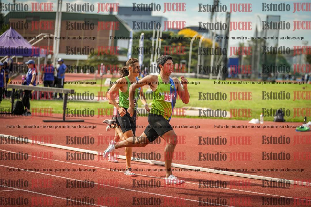 Fotos de los 800 m llanos de varones