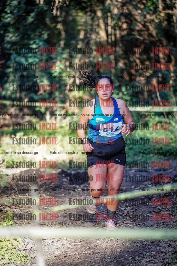 Fotos en el sexto punto del circuito