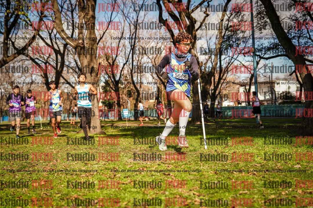 Fotos en el circuito