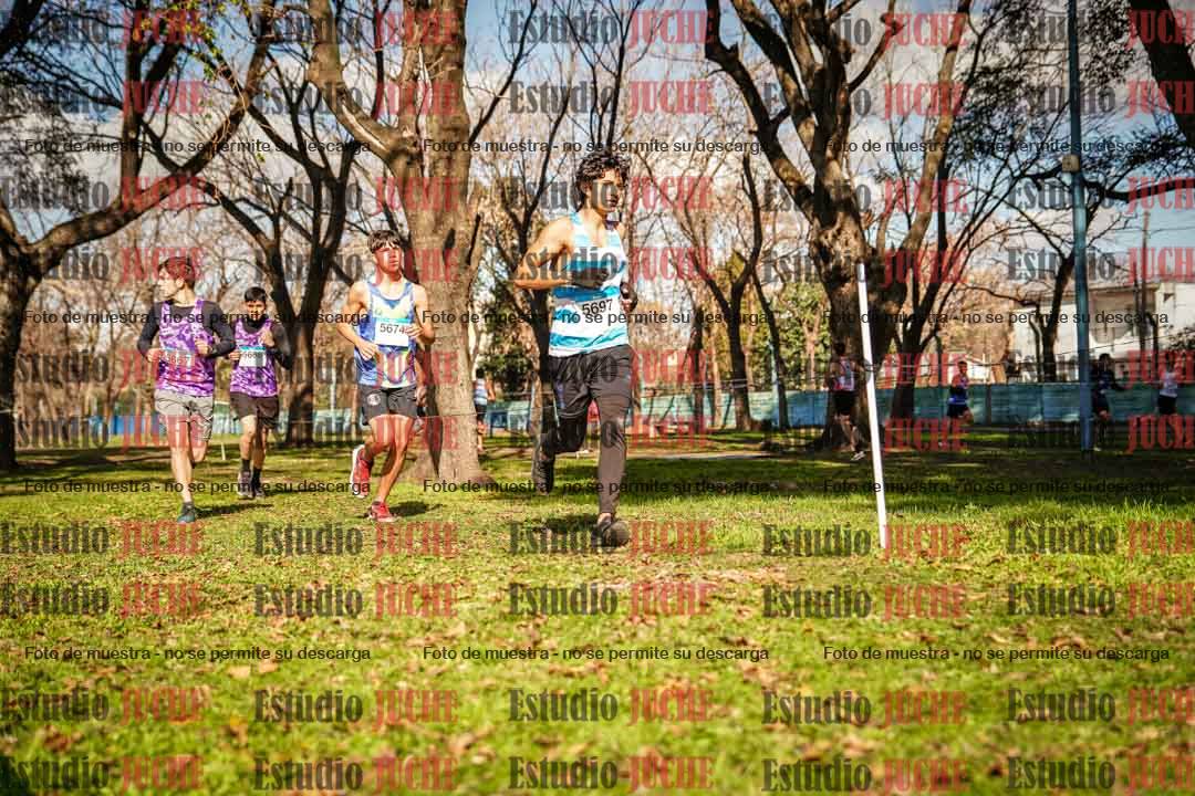 Fotos en el circuito
