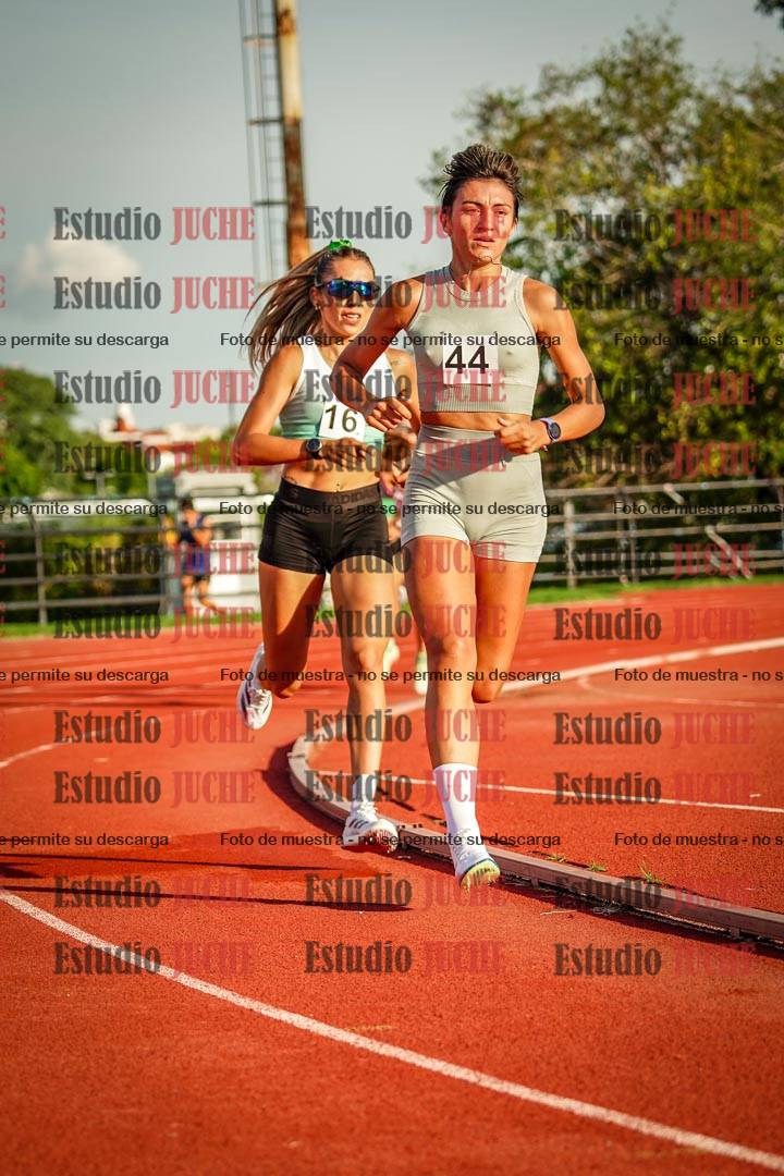Fotos de los 1500 m llanos de mujeres