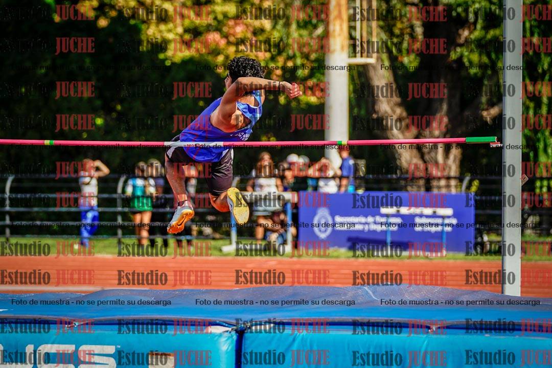 Fotos del salto en alto de varones