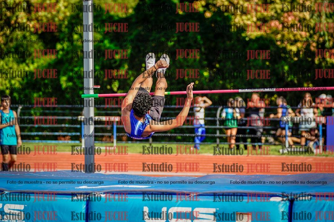 Fotos del salto en alto de varones