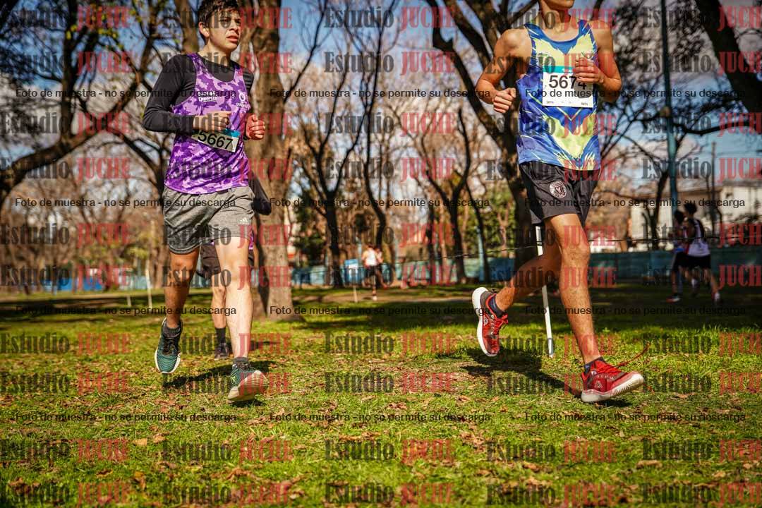 Fotos en el circuito